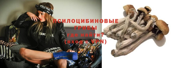 PSILOCYBIN Балахна