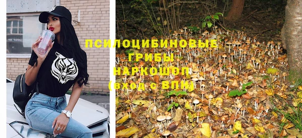Альфа ПВП Баксан