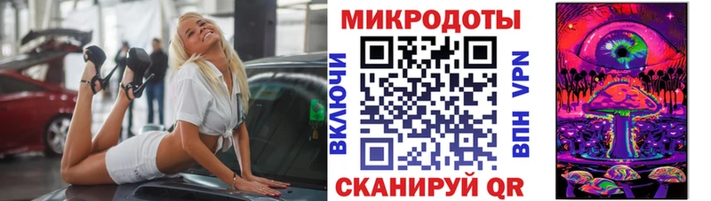 где найти Красный Холм Галлюциногенные грибы MAGIC MUSHROOMS